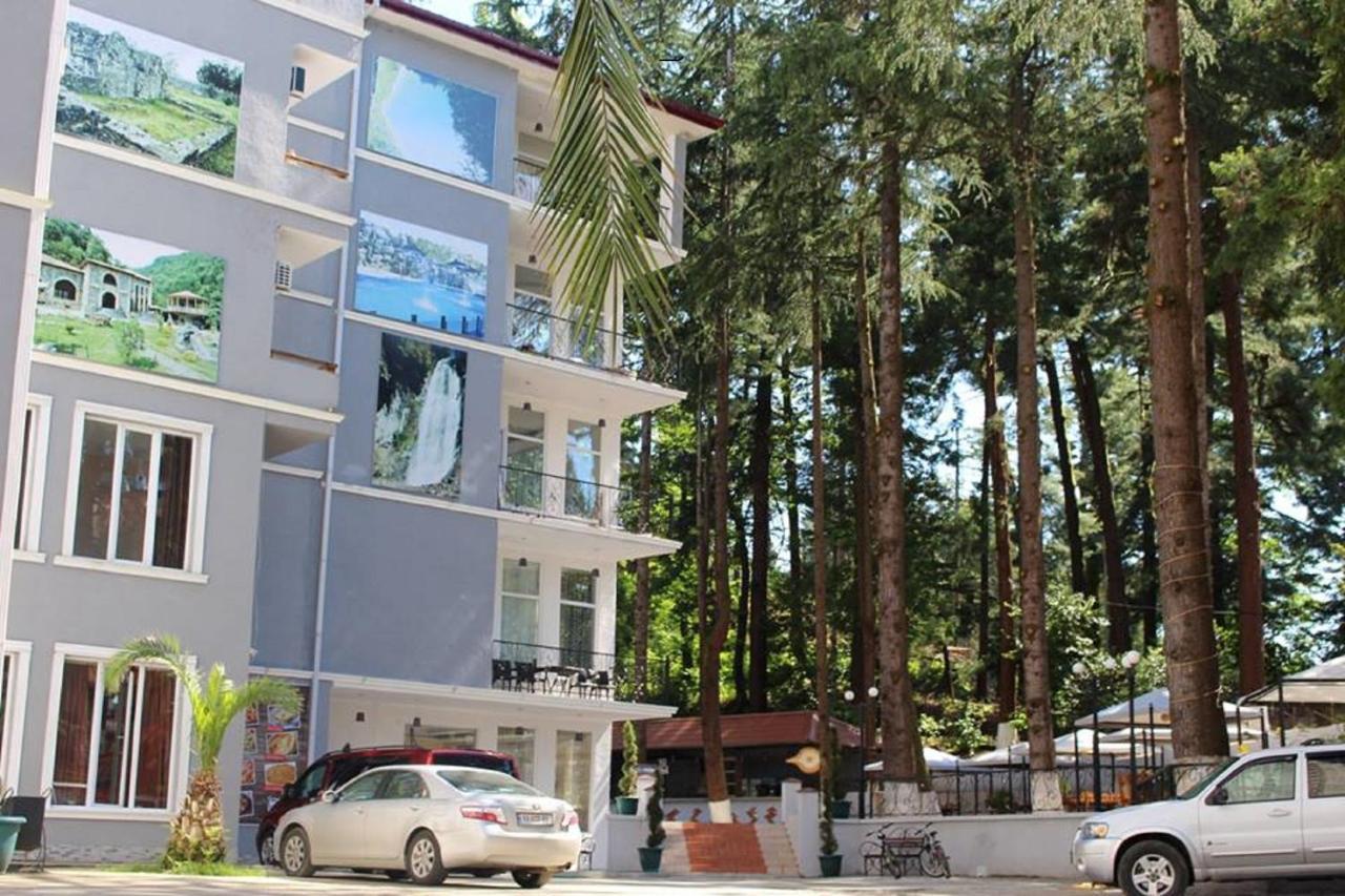 Hotel Nine Brothers Makhindzsauri Kültér fotó